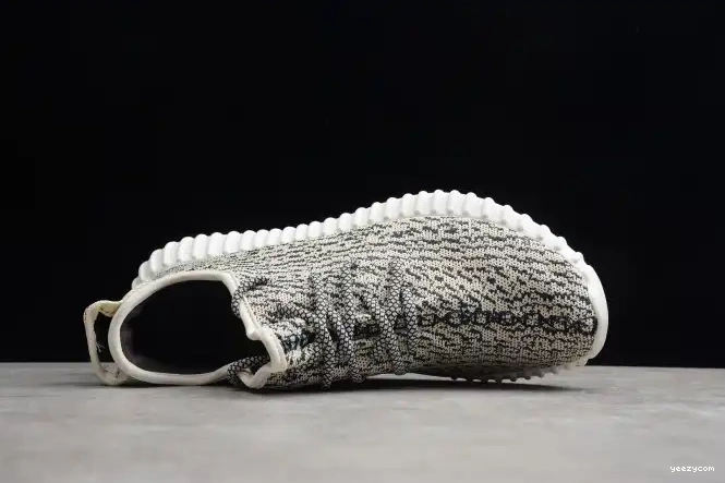 Dove YEEZY Adidas Turtle 350 Boost AQ4832 0507